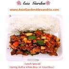 Best Kung Pao Chicken (Lunch Special) in Alexandria, VA